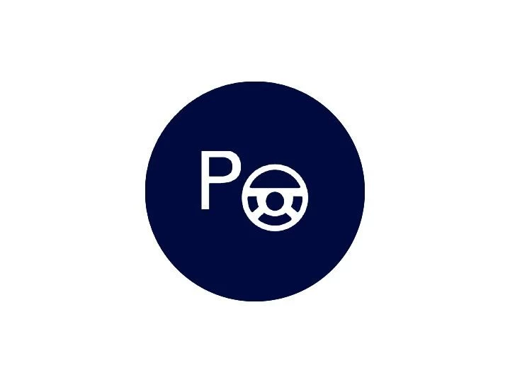 Автопарковщик Park Assist